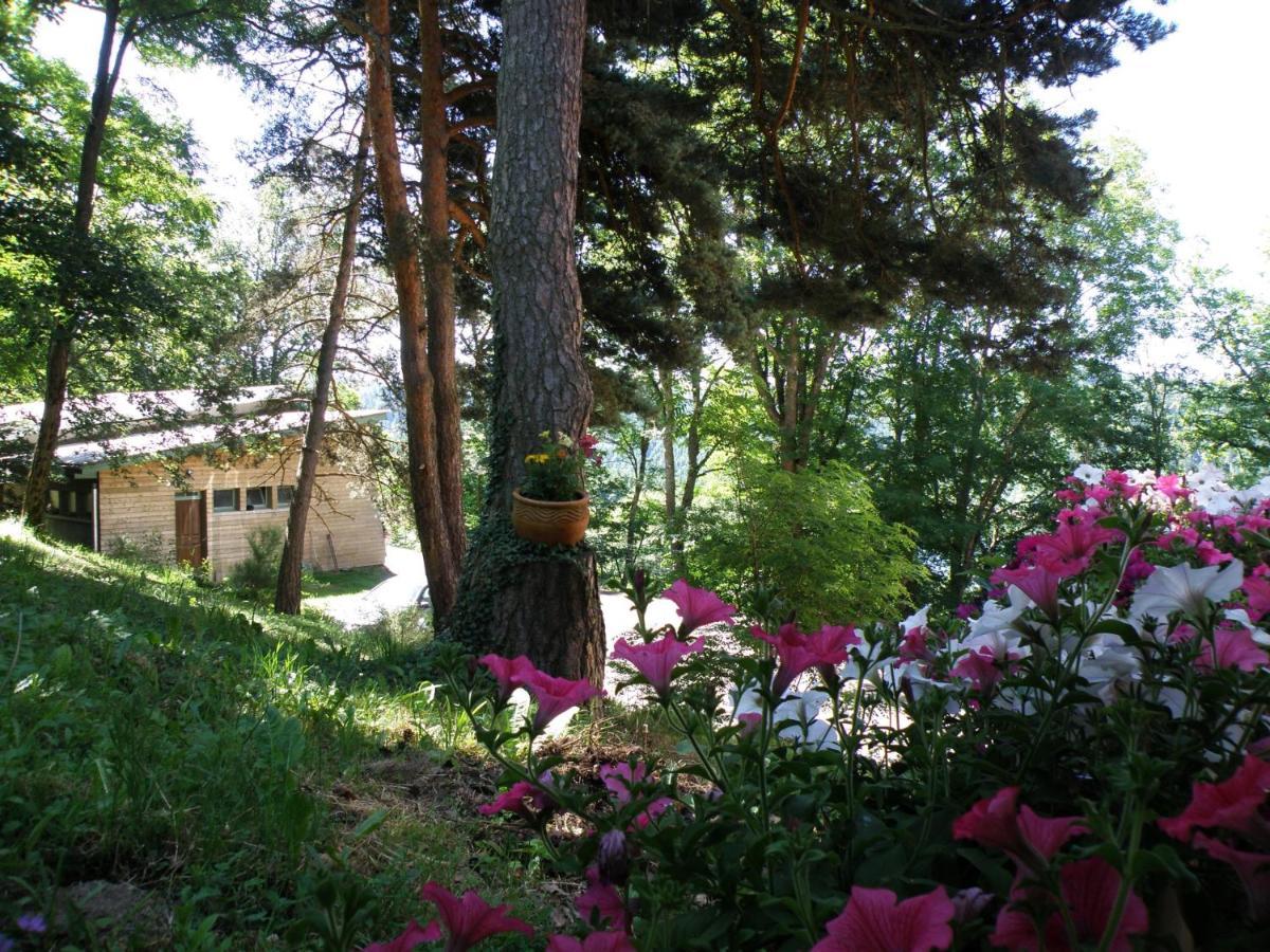 Le Grand Val Bed & Breakfast Lavastrie ภายนอก รูปภาพ